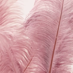 Ostrich Spray - Set Of 3 -Upholstery Shop webimage 999203485 dtl