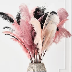 Ostrich Spray - Set Of 3