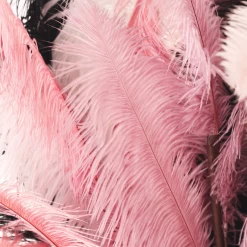 Ostrich Spray - Set Of 3 -Upholstery Shop webimage 999206273 999203485 999680913 999524372 999934525 GRP DTL