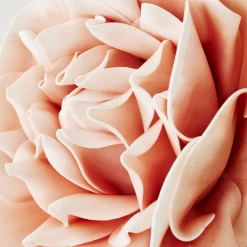 Faux Village Flower - Set Of 3 -Upholstery Shop webimage 999207095 dtl