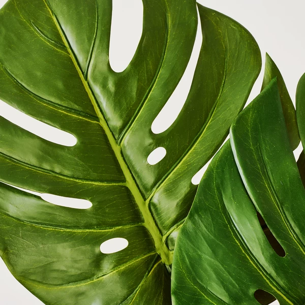 Faux Small Split Philo Leaf - Set Of 3 5 Faux Small Split Philo Leaf - Set Of 3 - Image 3